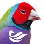 Birdly - BirdLife Australia Icon