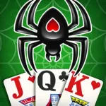 Spider Solitaire Zen Card Game Icon