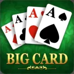 Solitaire Cozy - Big Card Icon
