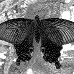 MoNo - convert to binary image Icon