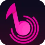 MusiChic-Offline Music Player Icon
