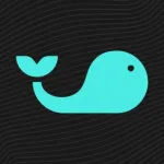 Splash Sports | Survivor & DFS Icon