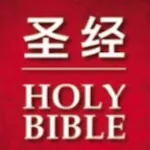 Chinese Audio Bible Icon