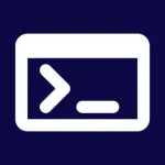 Serial Terminal - RS232/485 Icon