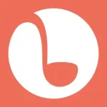 Punchbowl: Invitations & Cards Icon