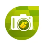 Farmer - Agro scouting Icon