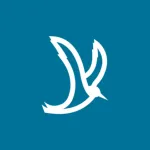 Tern for Travelers Icon