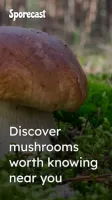 Sporecast: Mushroom Map Icon
