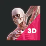 3D Human Anatomy Learning App Icon