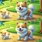 Find Differences Expert Icon