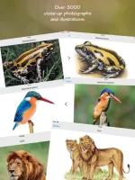 Wildlife Southern Africa Icon