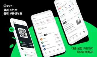 네이버페이 Icon