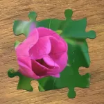 True Jigsaw Icon