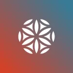 Conduit: Share Internet Access Icon