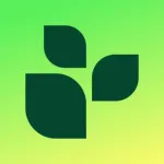 Lifesum: AI Calorie Counter Icon