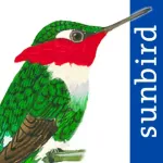 All Birds Colombia field guide Icon