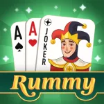 Rummy Relax: Classic Card Game Icon
