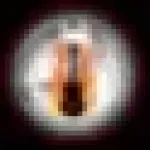 Fire Guitar Tuner Icon