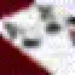 Lion Jacks-or-Better Icon