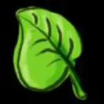 Bible Verse Search Icon