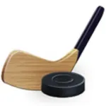 Hockey Team Icon