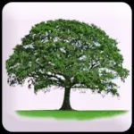 Know Yourself Personality Test Icon