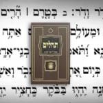 Tehillim Ohel Yosef Yitzchak Icon