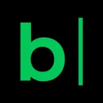 네이버 블로그 - Naver Blog Icon