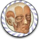 Speed Muscles MD Icon