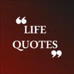 The Life Quotes Icon