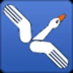 Wildgoose Icon