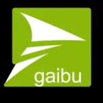 2gaibu - DB in your hand Icon
