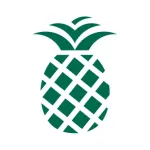 PineApp Icon