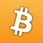 Bitcoin Wallet Icon