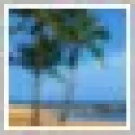 Android Image APP Maker Icon